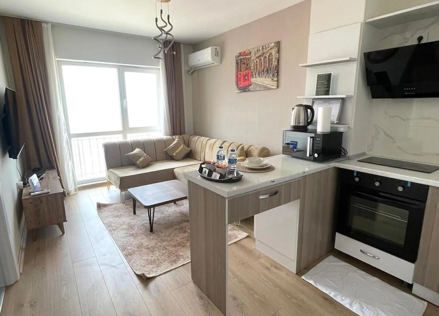 Classic Suite Ms34 Istanbul Apartment
